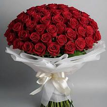 Букет 101 Красная роза Блэк Мэджик #REPLACE_PRED# Тарусе