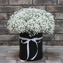 Цветочная композиция из Гипсофила в шляпной коробке #REPLACE_PRED# Тарусе