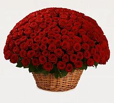 Премиум букет из: Розы в Тарусе